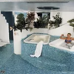 Des Vosges Hotell La Petite-Pierre