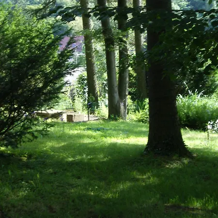 호텔 Des Vosges