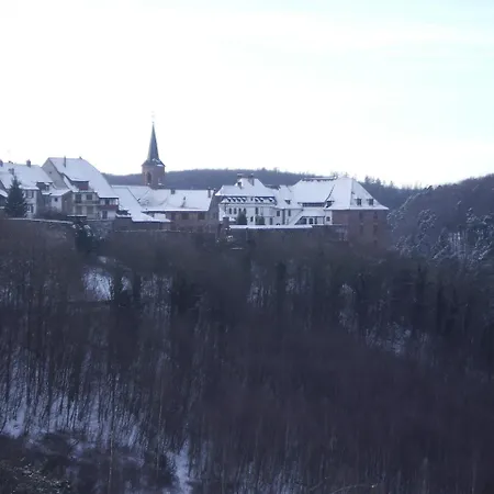 ホテル Des Vosges