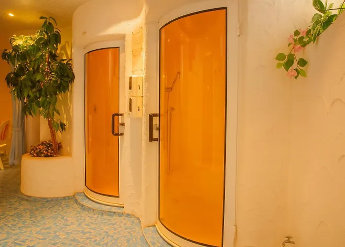 Des Vosges Hotel La Petite-Pierre