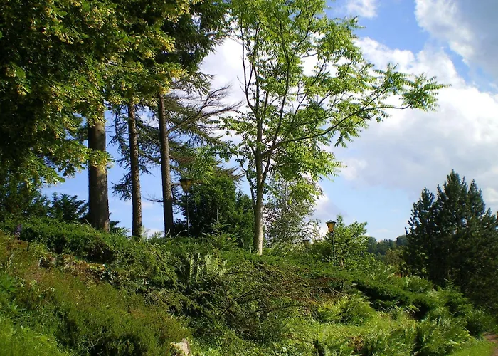 Des Vosges La Petite-Pierre